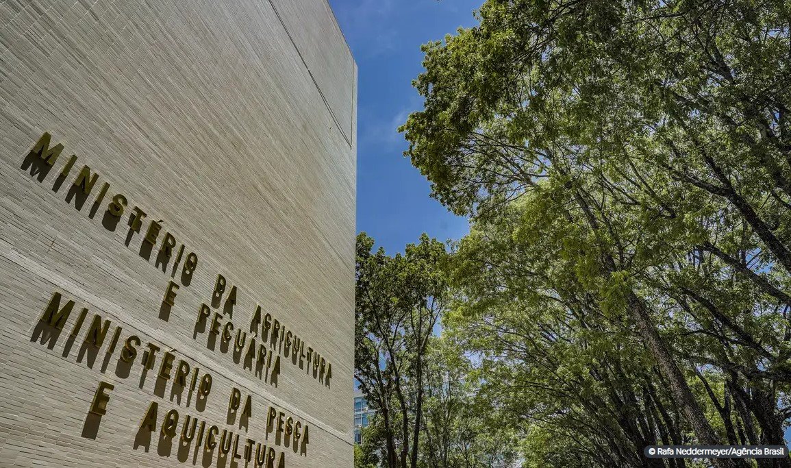 ministerio-da-pesca-concurso-fala-marilia