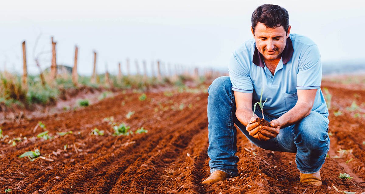 balanço-faesp-fala-marilia