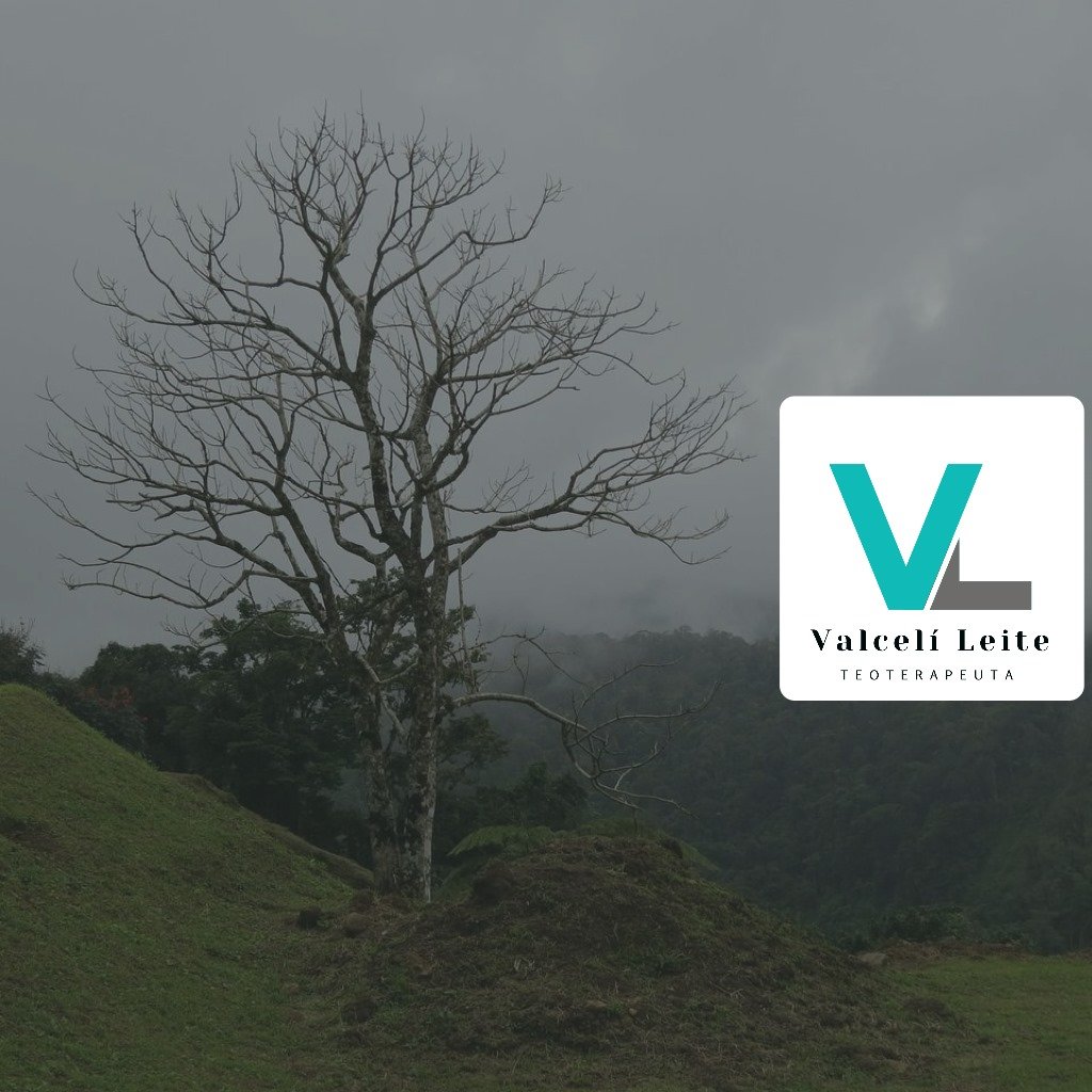 Imagem do WhatsApp de 2024-10-14 à(s) 18.07.58_0d1030aa