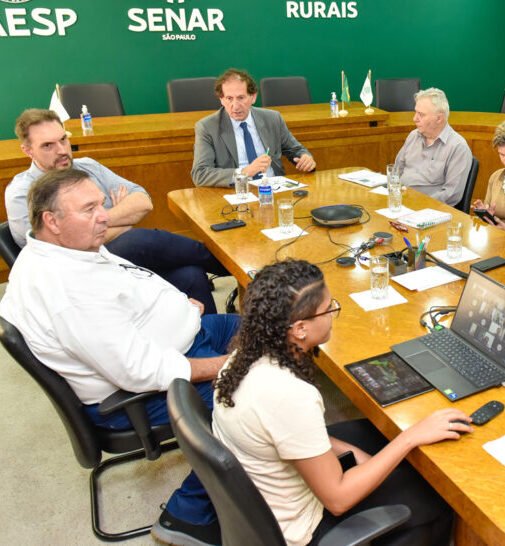 06-2025-sustentabilidade-banner-1024x546