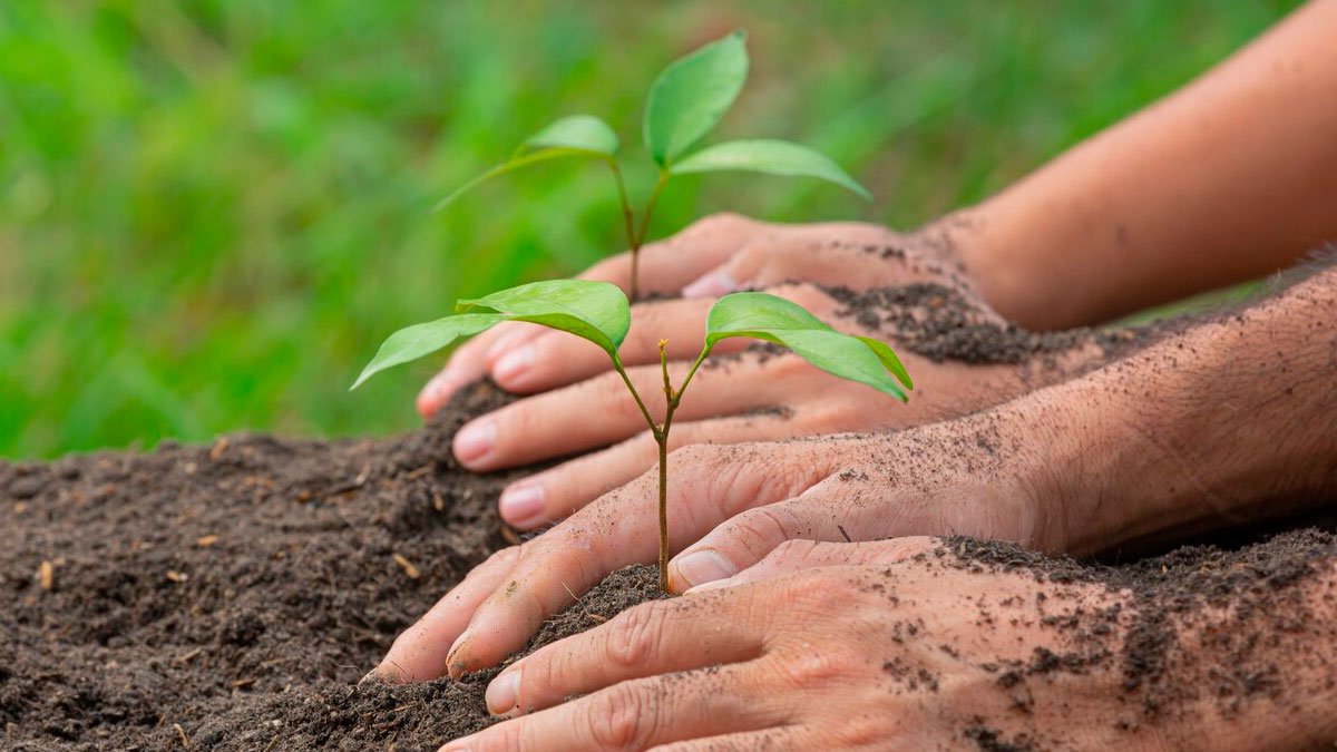 A-Importancia-de-Ensinar-Criancas-a-Plantar-Arvores-e-Cuidar-do-Meio-Ambiente