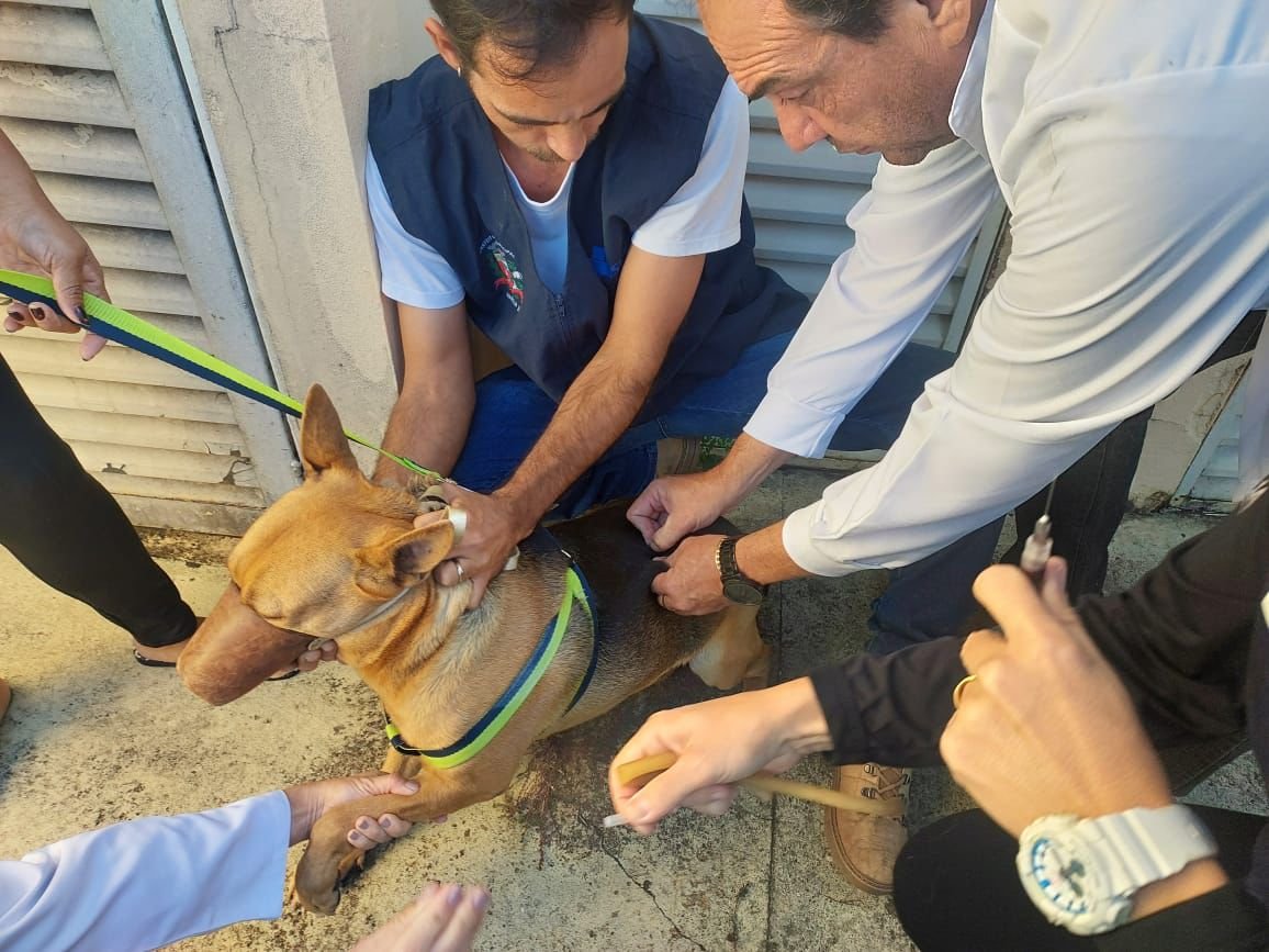 22-07 Prefeitura realiza vacinação antirrábica neste sábado na USF Vida Nova Maracá2