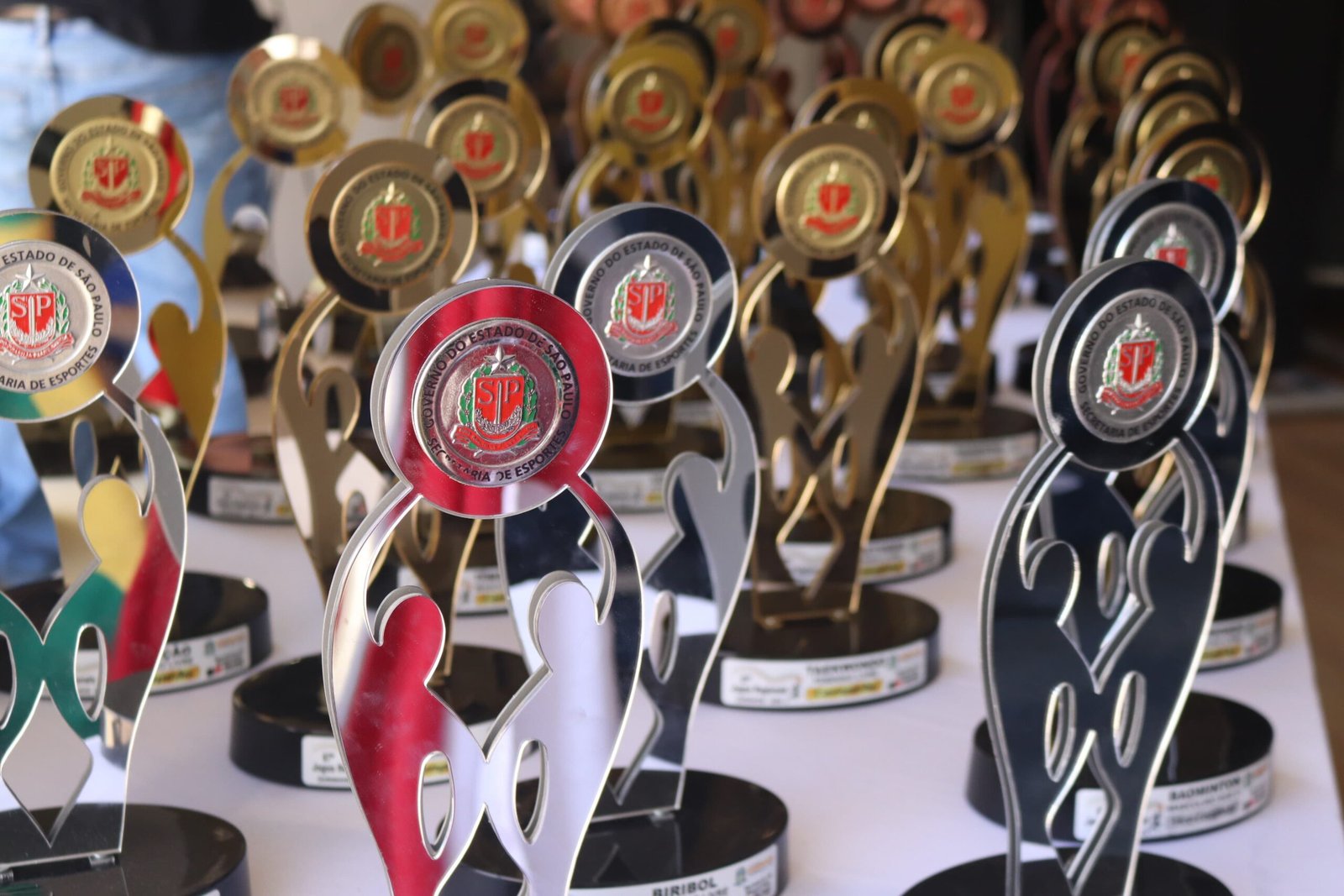 01-08 Atletas campeões dos jogos regionais exibem medalhas e troféus6