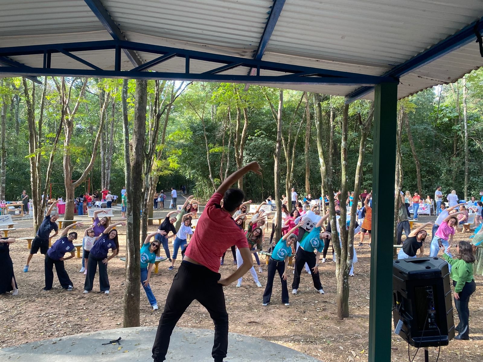 29-08 Domingo no Bosque3