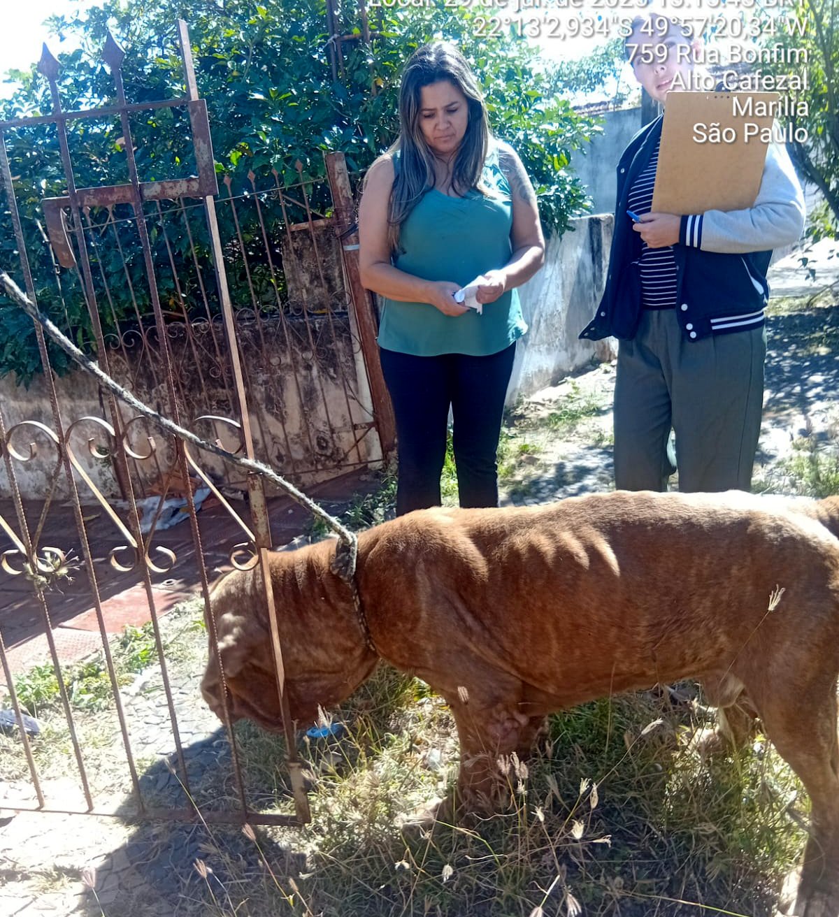 31-07 Defesa Animal e Conscientização1