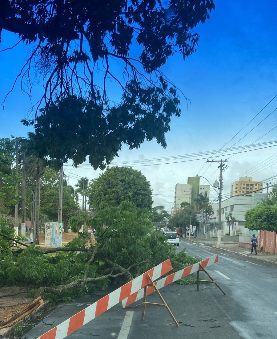 22-09 Prefeitura de Marília atua em pontos afetados pelo temporal desta segunda-feira1