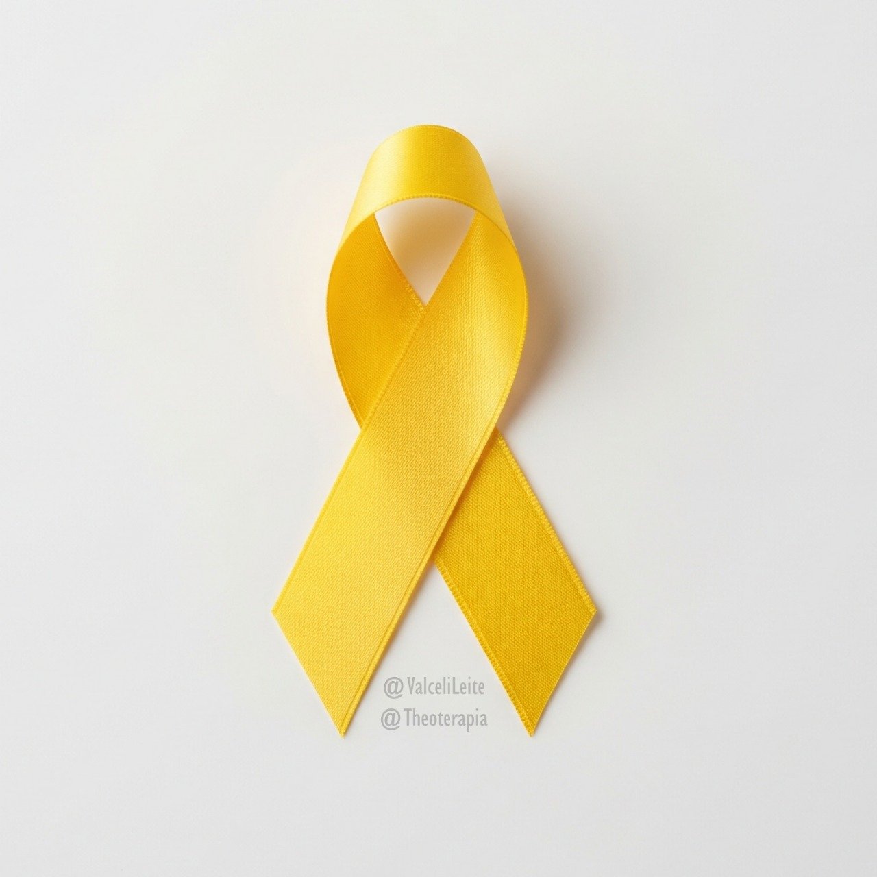 Imagem do WhatsApp de 2025-09-03 à(s) 09.15.45_114cda1b