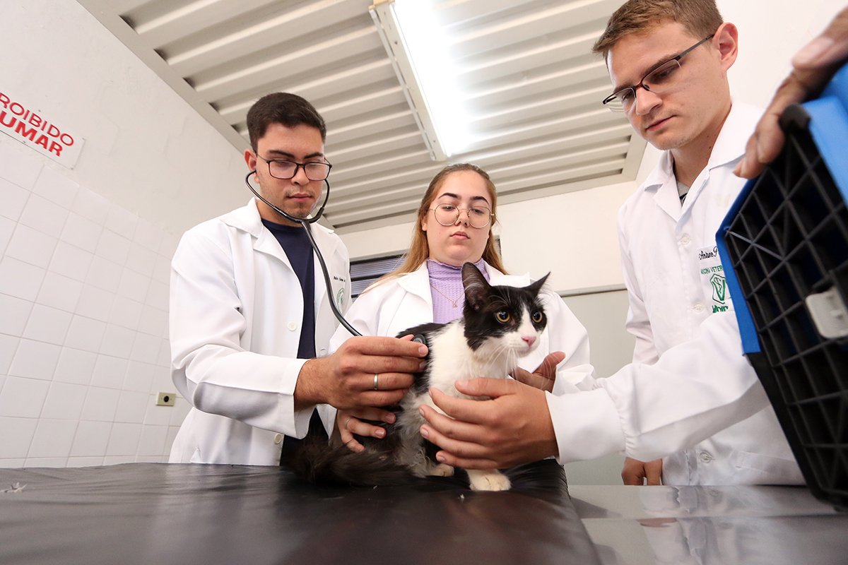 medicina veterinária 3