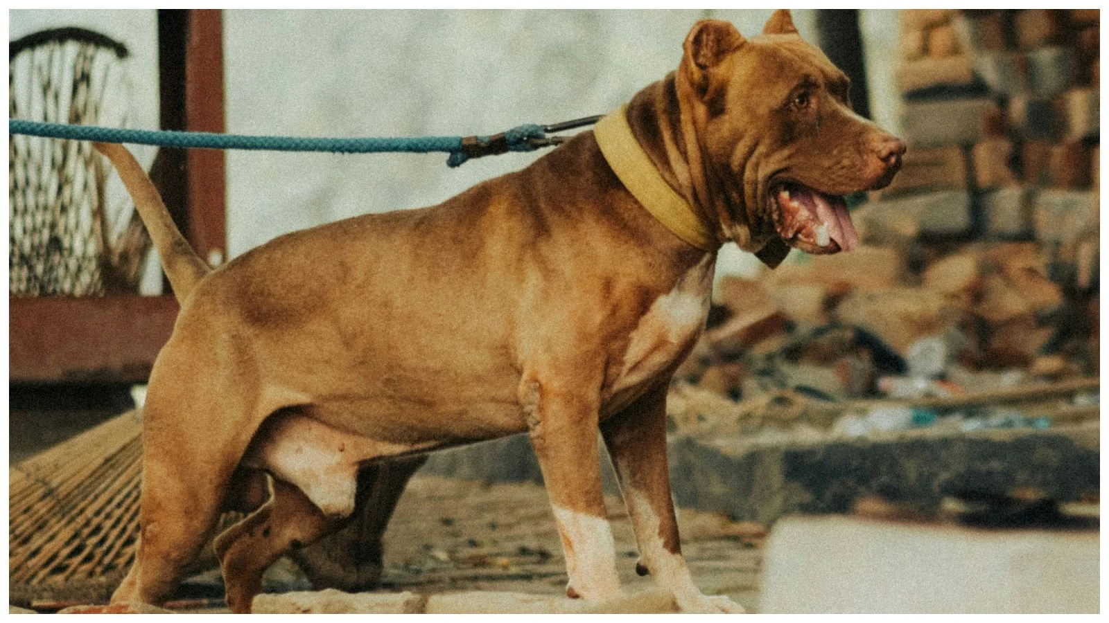 unsplash-sumeet-singh