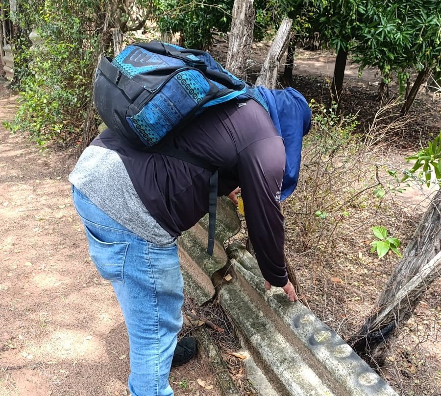 15-10 Ação para captura de escorpiões1
