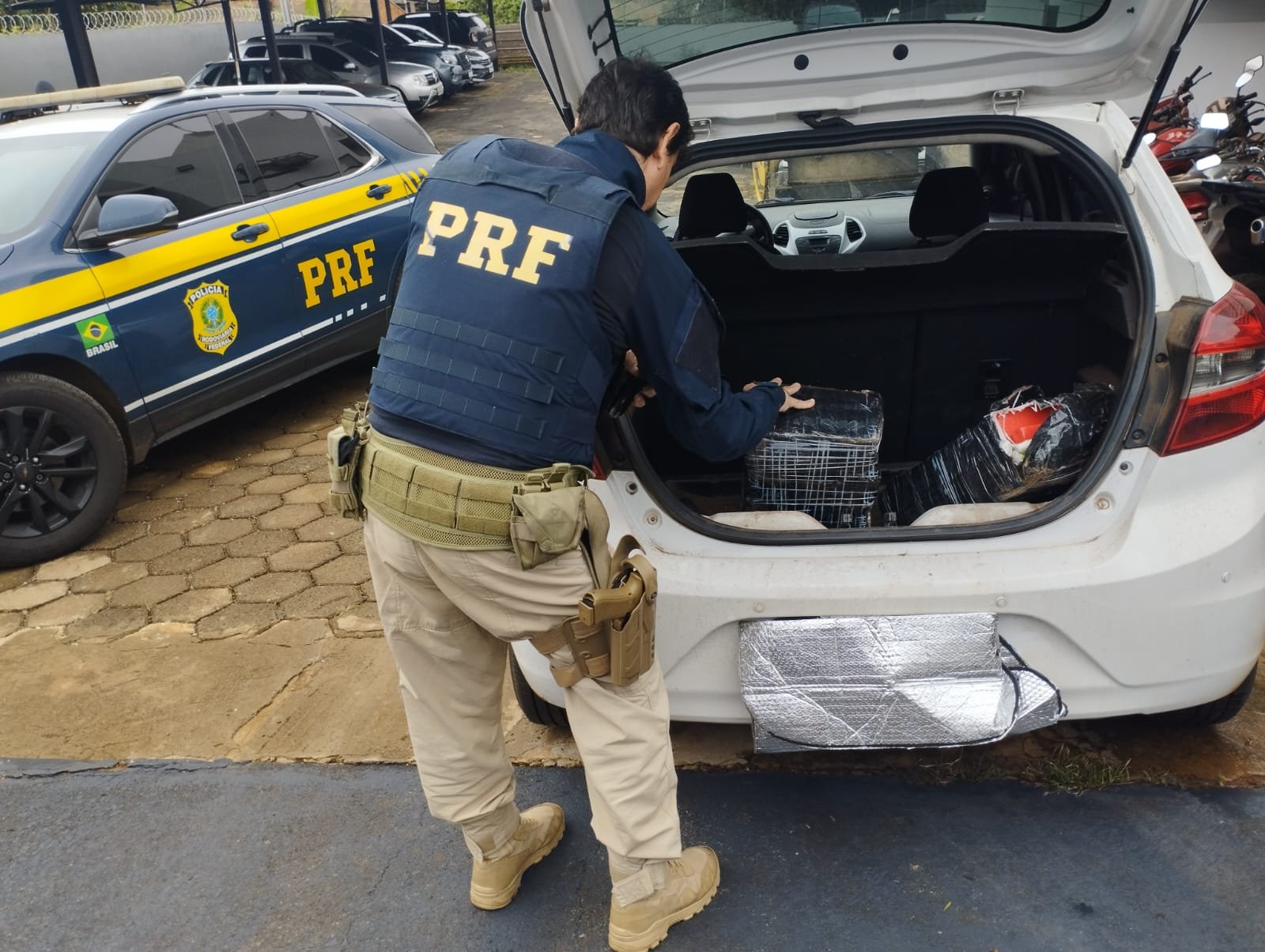 Imagem do WhatsApp de 2025-10-31 à(s) 15.05.33_a20c65b8