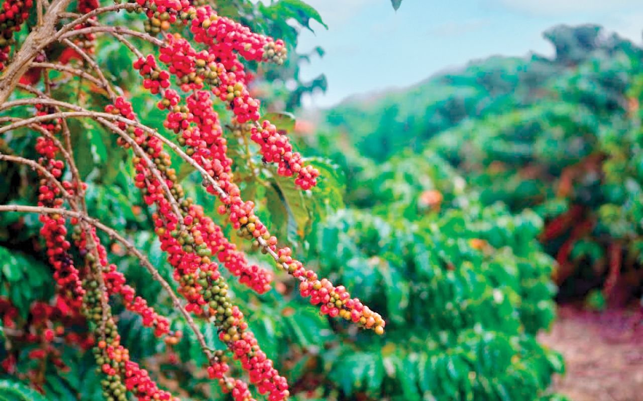 Inserir_um_subttulo_-_2025-10-14T104426.348