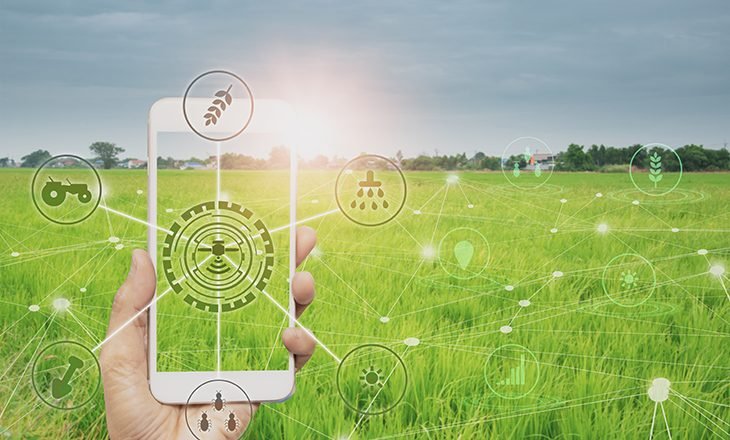 rastreabilidade-agricola-interna-730x440-1