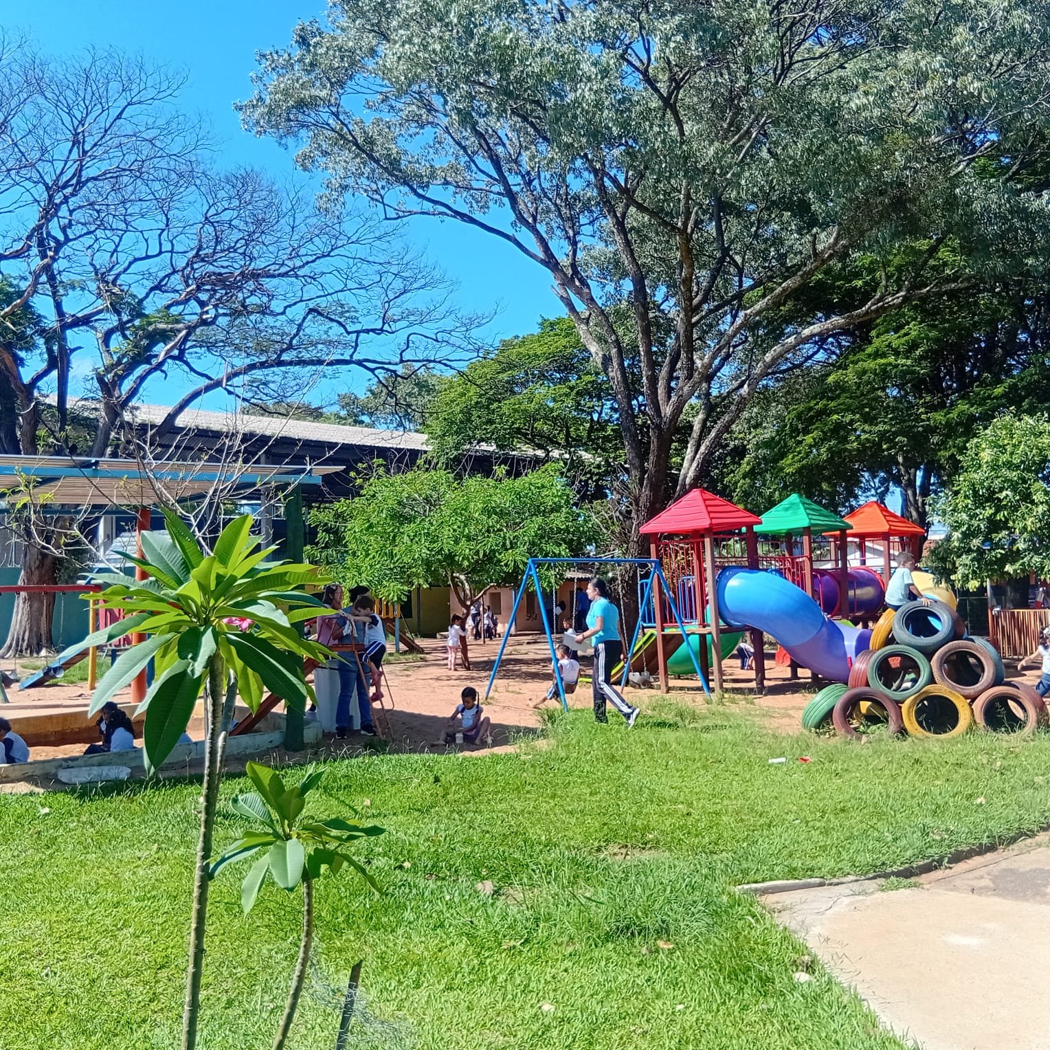 05-01 Escolas recebem 369 alunos no primeiro dia do Programa de Atendimento de Férias1