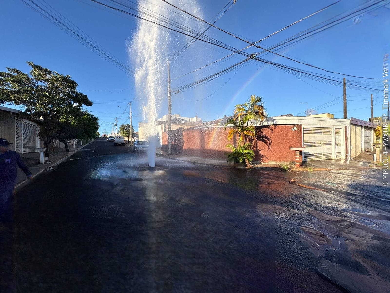 WhatsApp Image 2026-01-23 at 08.55.57