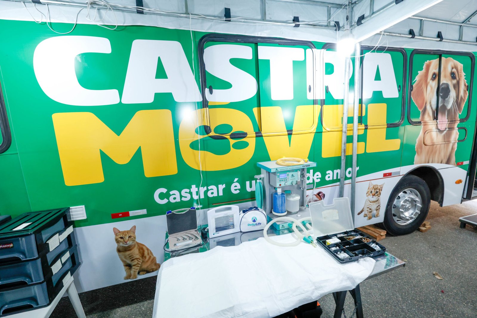 castramovel_d-69