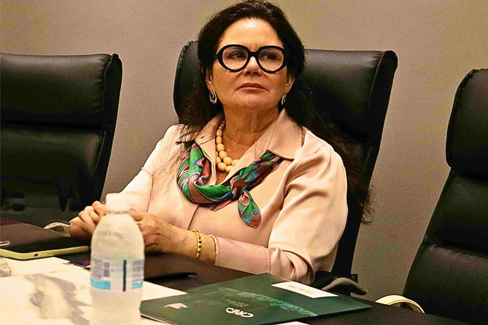 Valéria Cristina Tamião de Oliveira, vice-presidente da associação comercial, fala, com surpresa, da carga tributária nos produtos do Carnaval