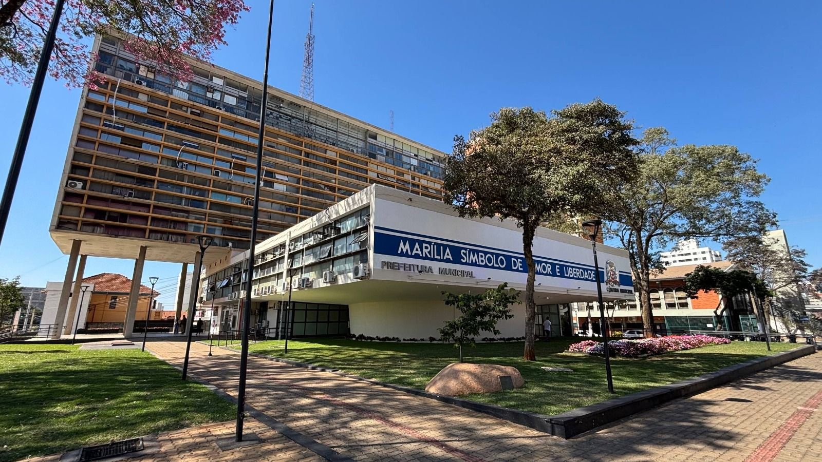 WhatsApp Image 2026-02-11 at 15.29.05