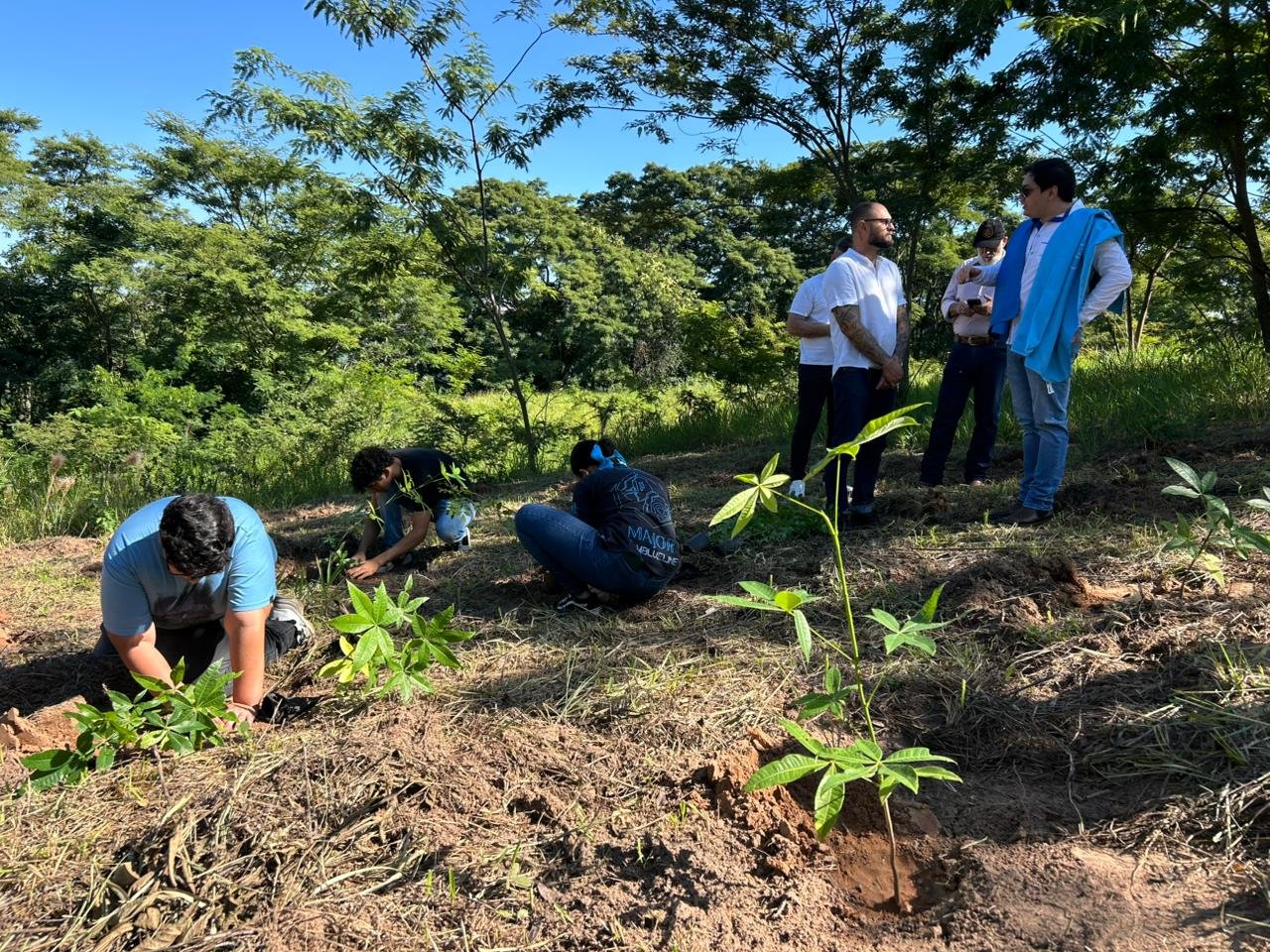 27-03 Ação ambiental reúne jovens para plantio de 71 mudas e criação de mini bosque6