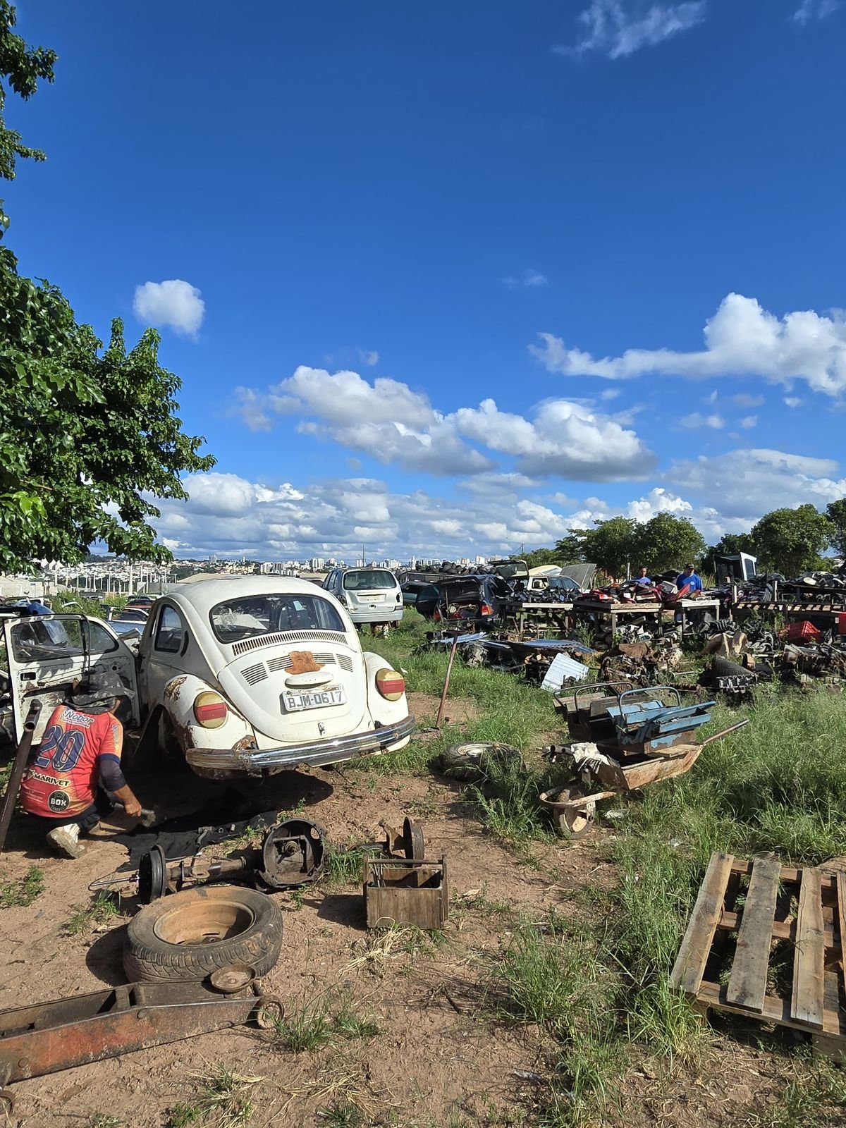 09-04 Fiscalização da Prefeitura identifica irregularidades ambientais em desmanche na zona norte2