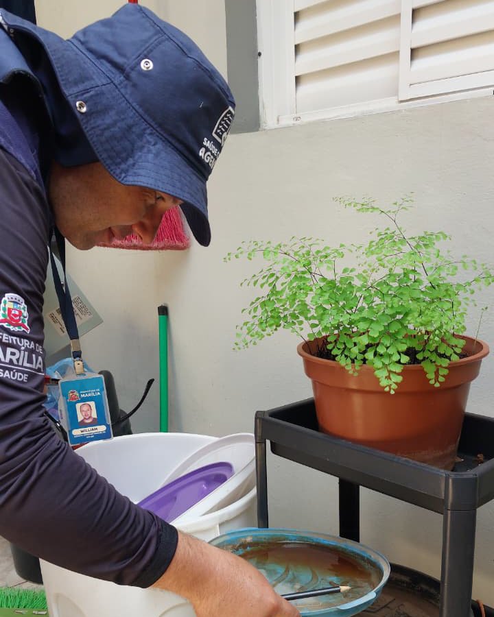 08-05 Ações contra a Dengue4