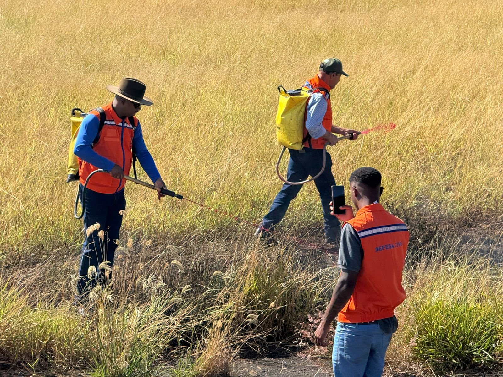 IMG-20260522-WA0012