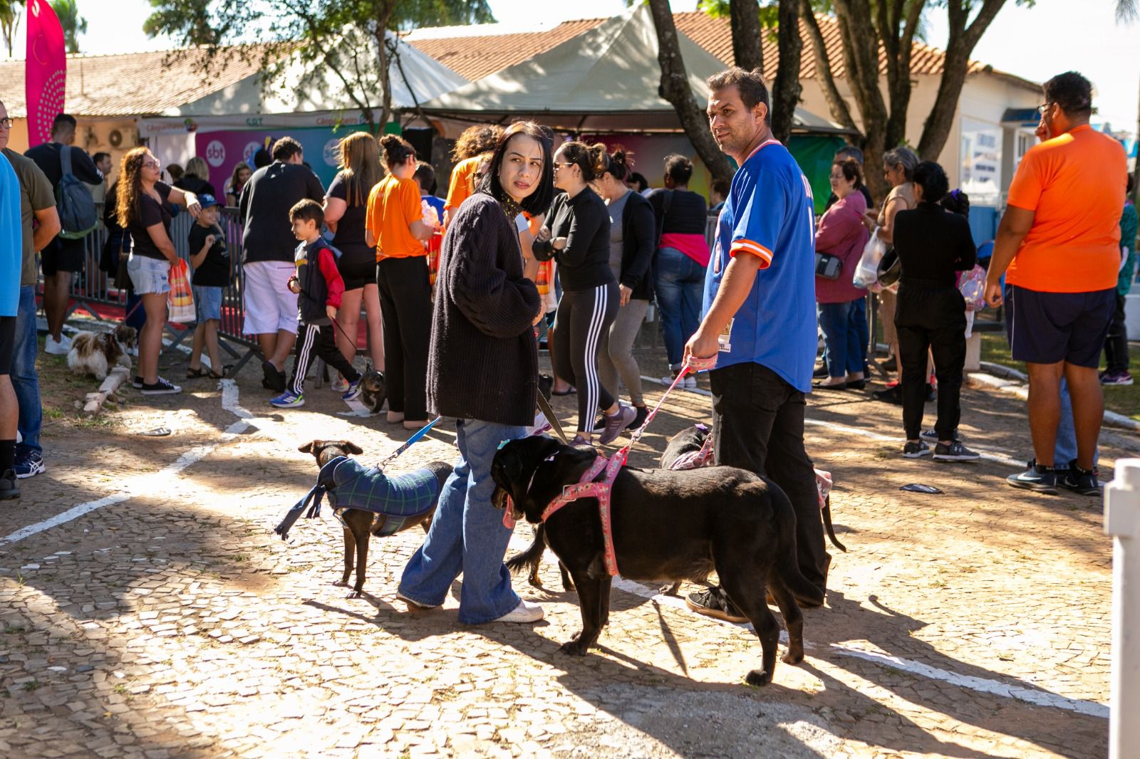 25-06 Marília apoia pesquisa nacional para fortalecer o Turismo Pet Friendly no Brasil3
