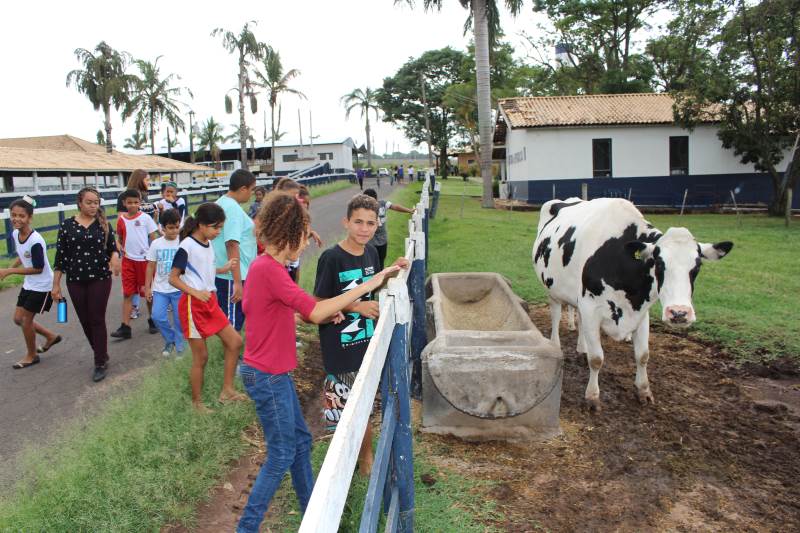 fazendinha 1